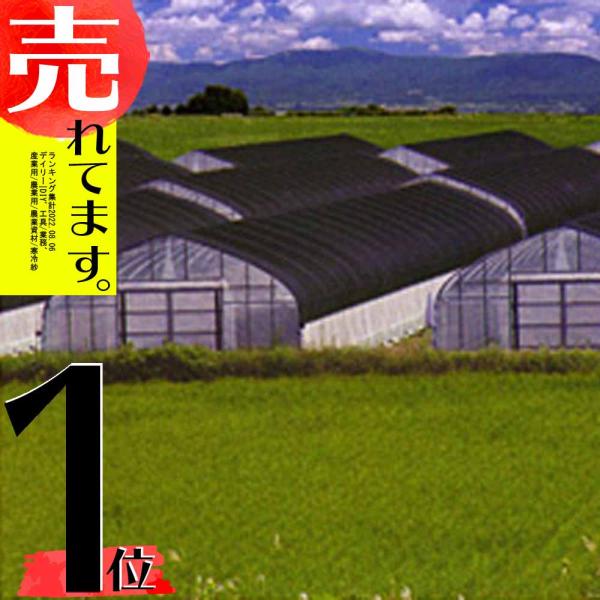 4m×50m 黒 遮光率85〜90％ ワイドスクリーン 遮光ネット BK1013 寒冷紗 日本ワイド...