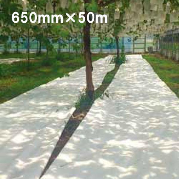 650mm×50m 白 てるてる 遮光ネット 寒冷紗 JX ANCI サT 代引不可