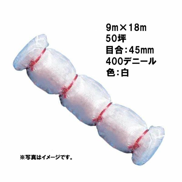 40本 国産 防鳥網 9m×18m 50坪 45mm 目合 400デニール 白 防鳥ネット 小商 北...