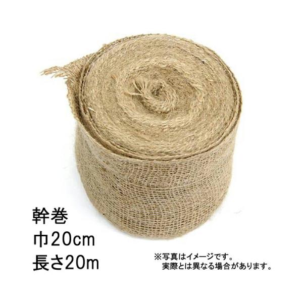 27巻 グリーンテープ 幹巻 20cm×20m 早S 代引不可