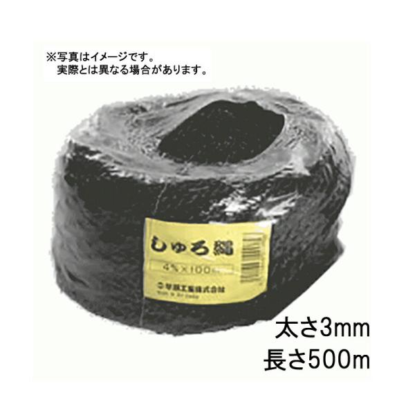 12玉 シュロ縄 黒 3mm×500m 早S 代引不可