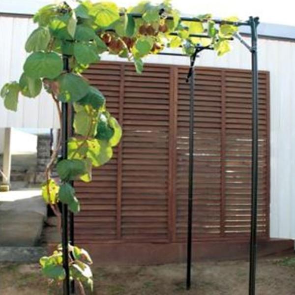 くだもの棚セット KT-S 幅90cm×奥行120cm 第一ビニール 藤棚 バーゴラ ぶどう棚 第B...