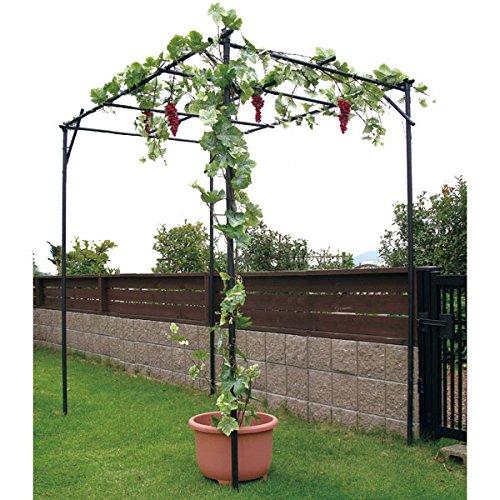 くだもの棚セット KT-M 幅120cm×奥行180cm 第一ビニール 藤棚 バーゴラ ぶどう棚 第...