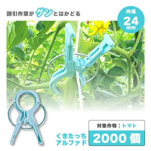 200個 くきたっちアルファ パープル KA-P200 細紐用 紐誘引クリップ