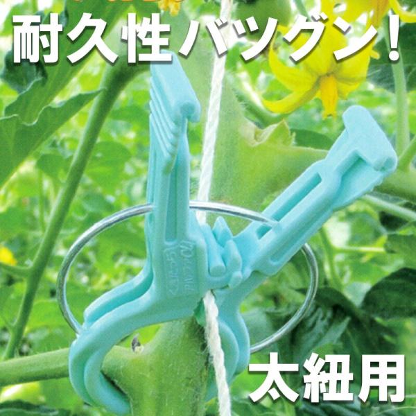 2000個 (200個×10袋) くきたっちアルファF 太紐用 麻紐用 ライトブルー 水色 AF-B...