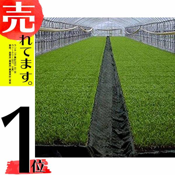 TKプールシート プール育苗 専用 遮水シート 黒 厚み0.15mm×幅270cm×長さ55m 22...