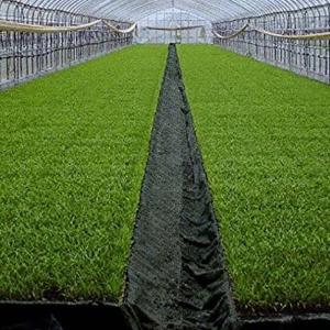 岩谷マテリアル イワタニ 水稲用 ハイホワイトシルバー 厚0.05mm 幅