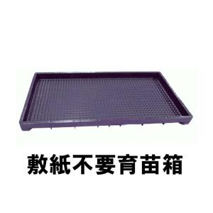 かもめ　苗箱　100枚 かもめ 苗箱 100枚 かもめ 苗箱 100枚 楽天市場】PP育苗シート 100
