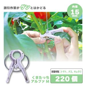 ゆーいんキャッチ ゆういんキャッチ 200個 YW-200 シーム トマト ナス