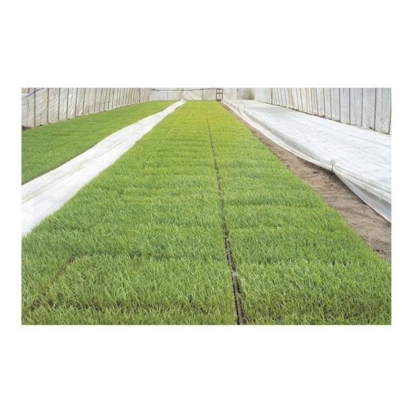 ユニチカ ラブシート #20307WTD 白 ホワイト 厚さ0.13mm×幅270cm×長さ50m ...