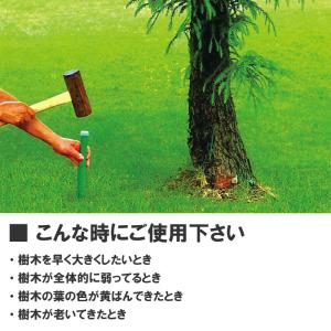 グリーンパイル ラージ 50本入 業務用 打込...の詳細画像4