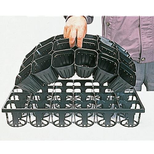 250枚 合体くん タキイ根巻防止連結ポリ鉢 7.5cm 黒 40鉢/1枚 タキイ種苗 個人宅配送不...