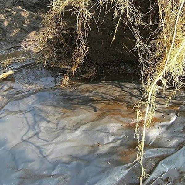 ルートラップシート 黒 30A 0.5mm厚 幅210cm×100m ぶどう等の根域制限栽培に 透水...