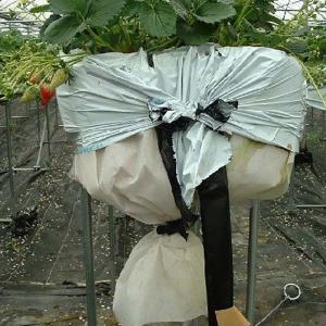 東洋紡 防根透水シート BKS0812G (白) 幅125cm×長さ100m : 農家のお店