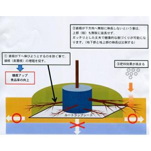 ルートラップシート 白 幅100cm×200m...の詳細画像2