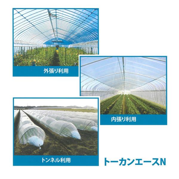 2本 0.05mm厚 210cm幅 100m トーカンエースN 農PO 透明 シングル巻 東罐興産 ...