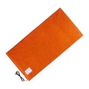 農電マット 1-417 ( 単相100v 500w 1.2×5.0m 2坪 ) ノーデン園芸マット