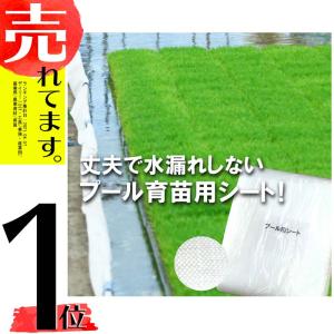岩谷マテリアル (2026年以降発送) (5本セット) イワタニ 水稲用 ハイ