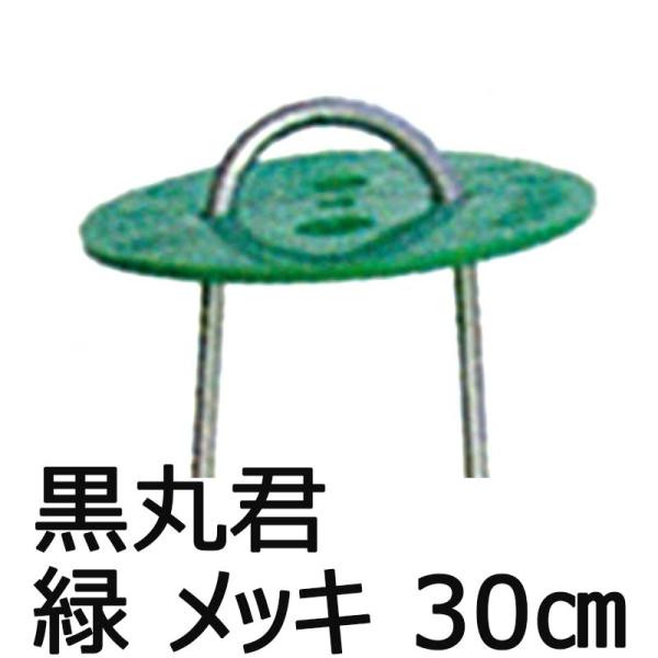 黒丸君 (緑) 4穴 錆びにくい メッキ杭 30cm 200組 槍木産業 うつぎ産業 カ施 代引不可