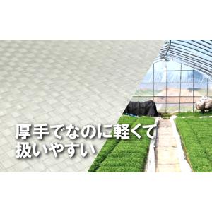 丈夫で水漏れしない カット品 プール育苗シート...の詳細画像1