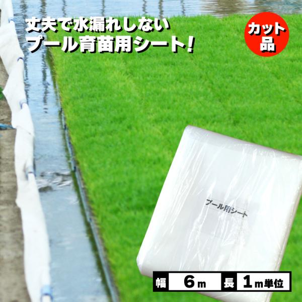 丈夫で水漏れしない カット品 プール育苗シート 遮水シート 厚さ0.25mm×幅600cm 1m単位...