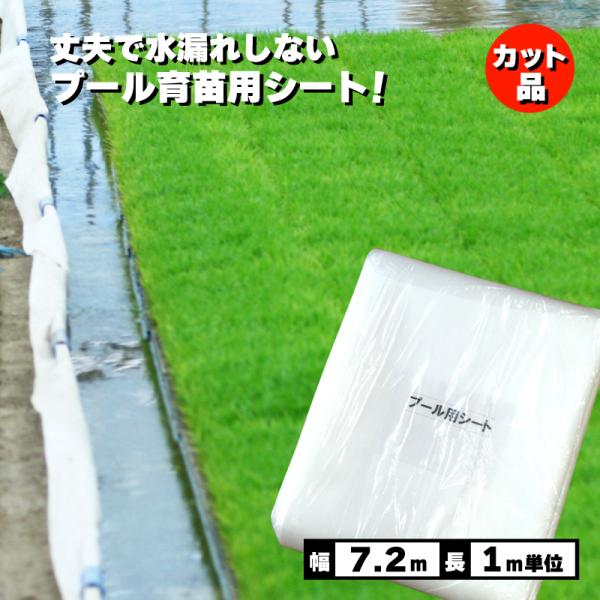 丈夫で水漏れしない カット品 プール育苗シート 遮水シート 厚さ0.25mm×幅720cm 1m単位...