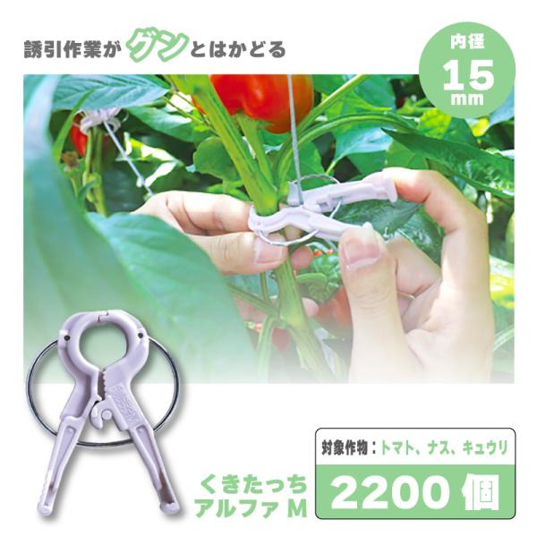 2200個 (220個×10袋) くきたっちアルファ M パープル 薄紫 AM-P220 細紐用 誘...