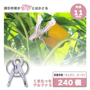 200個 くきたっちアルファ パープル 細紐用 紐誘引クリップ 誘引