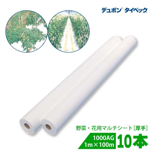 10本 タイベック マルチ 1000AG (厚手) 1m×100m 白 農業用 野菜 フルーツ 花卉...