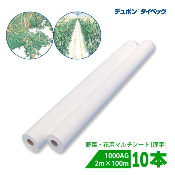 10本 タイベック マルチ 1000AG (厚手) 2m×100m 白 農業用 野菜 フルーツ 花卉...