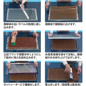 播種4点セット チェーンポット 長ネギ 小ネギ ホウレンソウ タ種 個人宅配送不可 2 3粒ll タ種 Cp300 ニッテン 長ネギ 小ネギ ホウレンソウ 2 3粒ll 代引不可 農業用品販売のプラスワイズ 返品送料無料