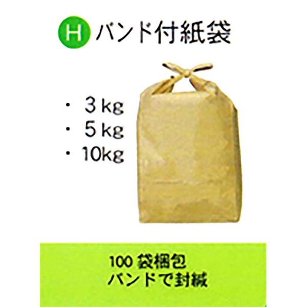 100枚 米袋 10kg 用 無地 バンド スタンディングタイプの 角底袋 0113941050 昭...