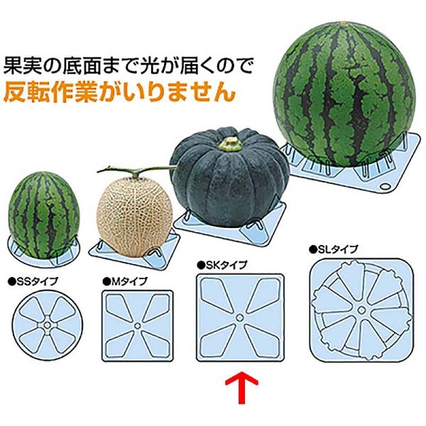 シンエツマットSK 南瓜 小玉西瓜用 145×145×H25 1600枚 スイカ カボチャ タS 代...