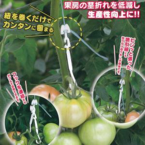 100個セット 白・黒選択) パスカル トマト誘引フック ローラーフック