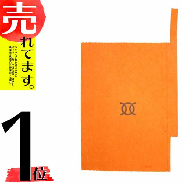 5000枚 果実袋 びわ ビワ 枇杷用掛袋 #7 一重袋 376-707-111K 一色本店 D