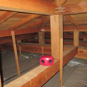 コンパル 乾電池式 ねずみ防除器 ネズミ対策 ...の詳細画像2