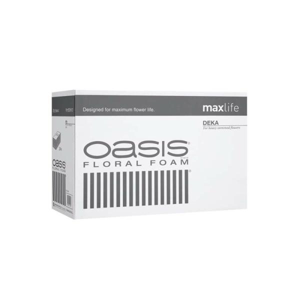 2箱 オアシス maxlife デカ フローラルフォーム 24個入/箱 イP 代引不可