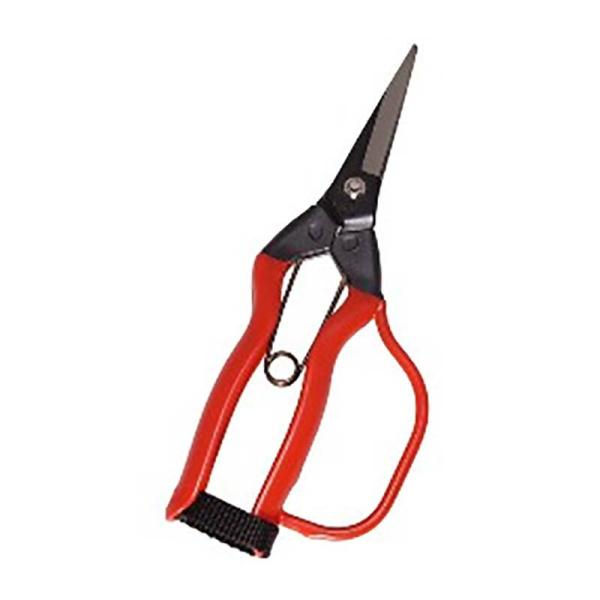 20丁 J-11G 青果鋏 ガード付 小林製鋏 H