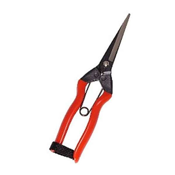 20丁 J-12 青果鋏 大 小林製鋏 H