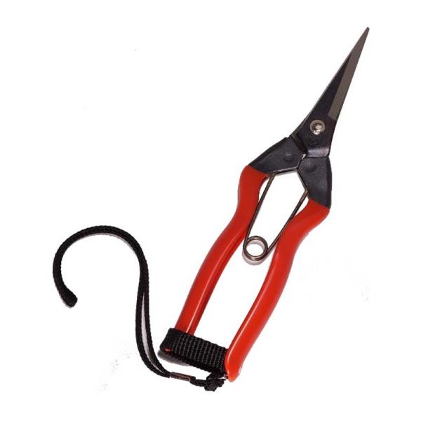 20丁 K-10S 果実鋏 ストラップ付 小林製鋏 H