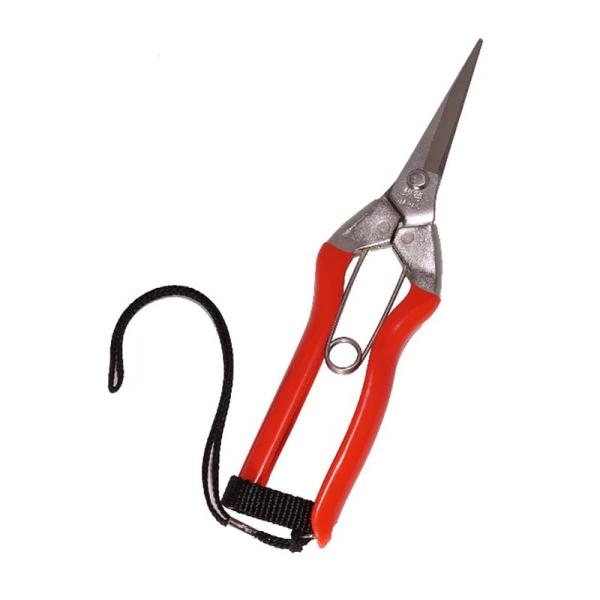 20丁 S-1S ステンレス 果実鋏 ステンレスバネ ストラップ付 小林製鋏 H