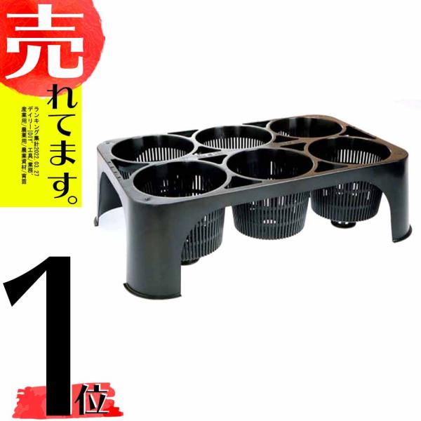20枚 空中ポットレストレー 6穴 15.0cm 15cm 阪中緑化資材 タS 代引不可