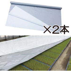 岩谷マテリアル 岩谷 イワタニ 三層シルバーポリ 保温用 0.05mm×300cm