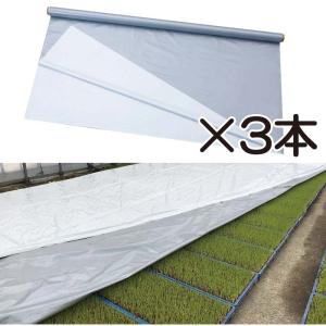 ハイホワイトシルバー 2.7×50m 育苗用シート 水稲用 苗焼け防止 高反射