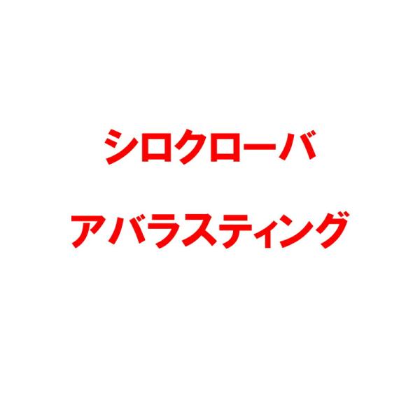 種 1kg シロクローバー アバラスティング コート種子 緑肥 酪農畜産 雪印種苗 米S 代引不可 ...