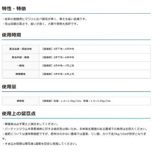 種 4kg ヒマワリ サンマリノ NSデュカッ...の詳細画像2