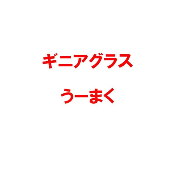 種 1kg PVP ギニアグラス うーまく 雪印種苗 米S 代引不可 (海外持出禁止 登録品種名: ...