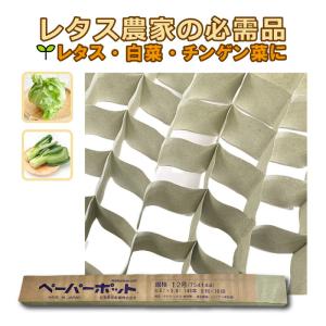 55mm ハンド移植器 苗投入口55mm 玉ネギ苗の定植に 穴なしマルチにも