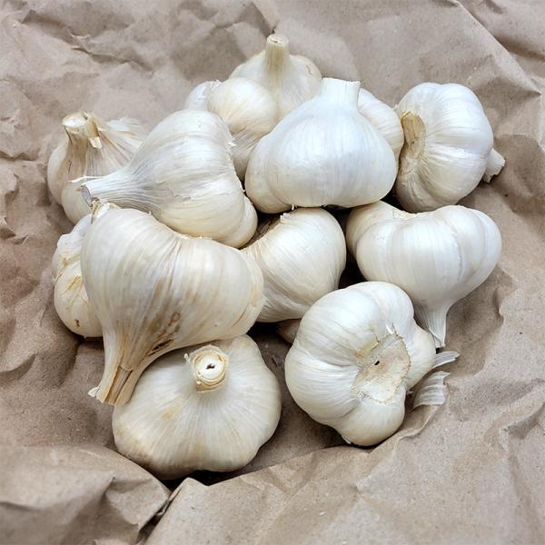 5kg 栽培用 ニンニク 青森県産 ホワイト六片 Lサイズ にんにく 球根 種用 吉S DZ