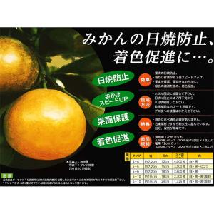 2800枚 果実袋 サンテ S-6 18cm ...の詳細画像1